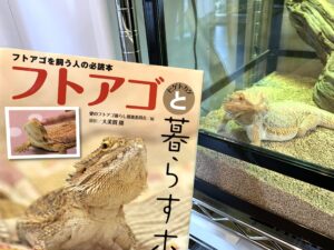 レビュー フトアゴを飼育する人におすすめの本２冊を紹介 あくありずむ
