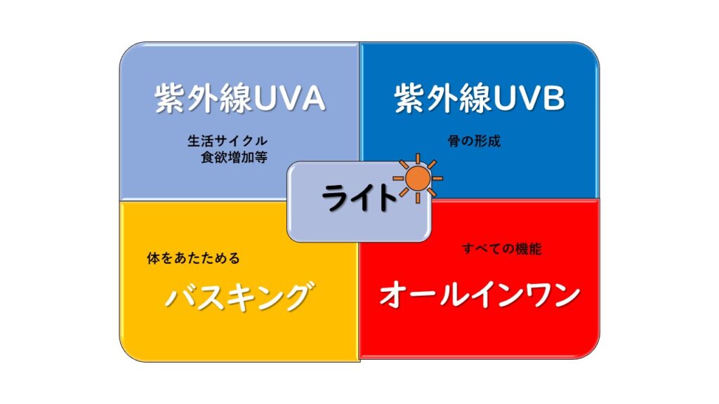 爬虫類ライト分類