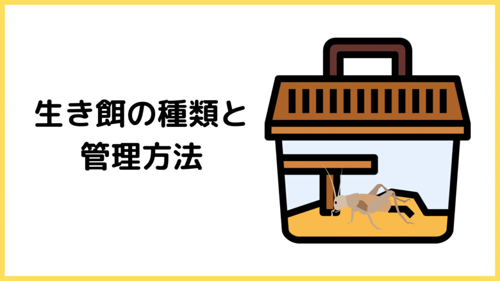 生き餌の種類と管理方法
